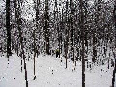 Lyn Jacobs; Day Hiking Trips Victor