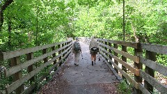 Ruth Bennett McDougal Dorrough; Judy Geisler; Virginia Creeper Trail, VA