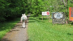 Ruth Bennett McDougal Dorrough; Judy Geisler;
Virginia Creeper Trail, VA
signs The Damascus Brewery
Damscus Diner
Wicked Chicken Tavern