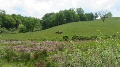 Virginia Creeper Trail, VA