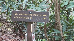 sign Virginia Creeper Trail, VA
Appalacian Trail