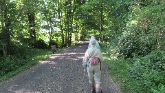 Judy Geisler; Ruth Bennett McDougal Dorrough; Virginia Creeper Trail, VA