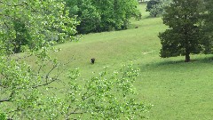 Virginia Creeper Trail, VA