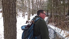 Hershey dog; Chad Wilde; Watkins Glen