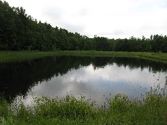 pond; Wesley Hill