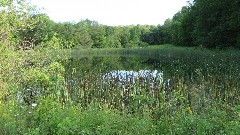 Wesley Hill Nature Preserve