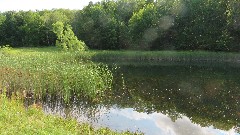 Wesley Hill Nature Preserve; pond