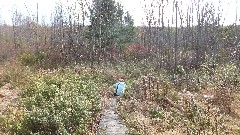 Ruth Bennett McDougal Dorrough; West Hill Nature Preserve