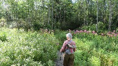 Ruth Bennett McDougal Dorrough; West Hill Nature Preserve