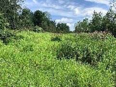 West Hill Nature Preserve