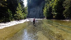 Lyn Jacobs; Zoar Valley, NY