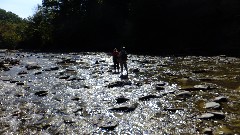 Lyn Jacobs; Ruth Bennett McDougal Dorrough; Zoar Valley, NY