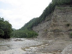 Zoar Valley