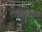 Lyn Jacobs; tree hugger ; Zoar Valley