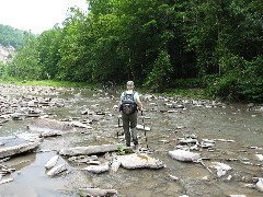 Lyn Jacobs; Zoar Valley