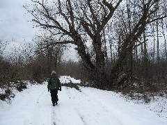 Ruth Bennett McDougal Dorrough; Hiking; Erie Canal; Palymra