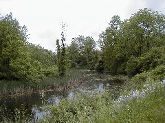 Erie Canal Trail Palymra