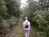 Ruth Bennett McDougal Dorrough; Hiking Erie Canal Palymra