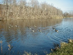 Canal Erie Hiking Palymra