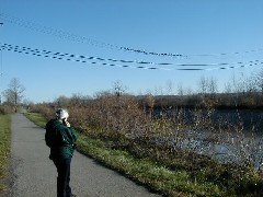 Canal Erie Hiking Rochester