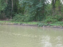 Canal Erie Hiking