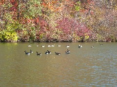 Hiking; Erie Canal