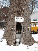 Toilet in Tree; Hiking; Erie Canal; rotated