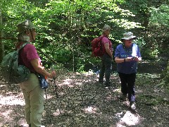 Ruth Bennett McDougal Dorrough; Mary Coffin; Finger Lakes Land Trust; Roy H Park Preserve, NY