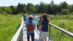 Finger Lakes Land Trust; Roy H Park Preserve, NY