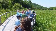 Finger Lakes Land Trust; Roy H Park Preserve, NY