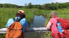 Mary Coffin; Finger Lakes Land Trust; Roy H Park Preserve, NY