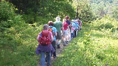 Finger Lakes Land Trust; Roy H Park Preserve, NY