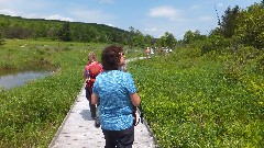 Finger Lakes Land Trust; Roy H Park Preserve, NY