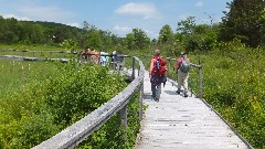 Finger Lakes Land Trust; Roy H Park Preserve, NY