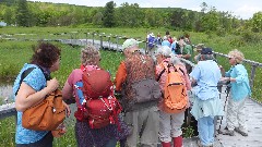 Finger Lakes Land Trust; Roy H Park Preserve, NY