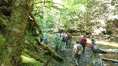 Kathy Disque; Tom Reimers; Ruth Bennett McDougal Dorrough; Finger Lakes Land Trust; Roy H Park Preserve, NY