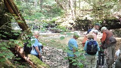 Kathy Disque; Tom Reimers; Finger Lakes Land Trust; Roy H Park Preserve, NY