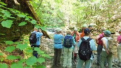 Kathy Disque; Georgiane Binder; Mary Coffin; Finger Lakes Land Trust; Roy H Park Preserve, NY