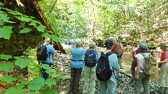 Kathy Disque; Georgiane Binder; Mary Coffin; Finger Lakes Land Trust; Roy H Park Preserve, NY