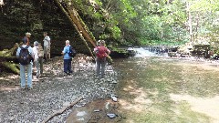 Tom Reimers; Kathy Disque; Ruth Bennett McDougal Dorrough; ; Mary Coffin; Finger Lakes Land Trust; Roy H Park Preserve, NY