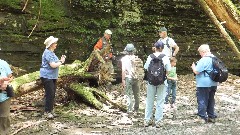 Eugene Binder; Tom Reimers; Sharon Parkhurst (little girl); Kathy Disque; Finger Lakes Land Trust; Roy H Park Preserve, NY