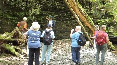 Tom Reimers; Ruth Bennett McDougal Dorrough; Mary Coffin; Finger Lakes Land Trust; Roy H Park Preserve, NY