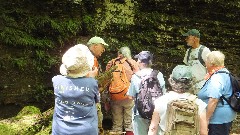 Georgiane Binder; Tom Reimers; Kathy Disque; Finger Lakes Land Trust; Roy H Park Preserve, NY