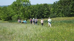 Spring Conference; Group HIke; FLT; M_20, NY