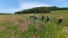 Spring Conference; Group HIke; FLT; M_20, NY