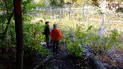 Lyn Jacobs; Ruth Bennett McDougal Dorrough; FLT; Branch Trails; B-01