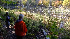 Lyn Jacobs; Ruth Bennett McDougal Dorrough; FLT; Branch Trails; B-01