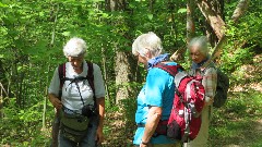 Joan Young; Marie Altenau; Ruth Bennett McDougal Dorrough; FLT; Branch Trails; B-01