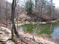 FLT Beaver Pond