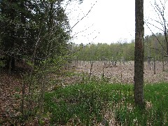 Hiking; NCT; FLT; B-01; Beaver Pond